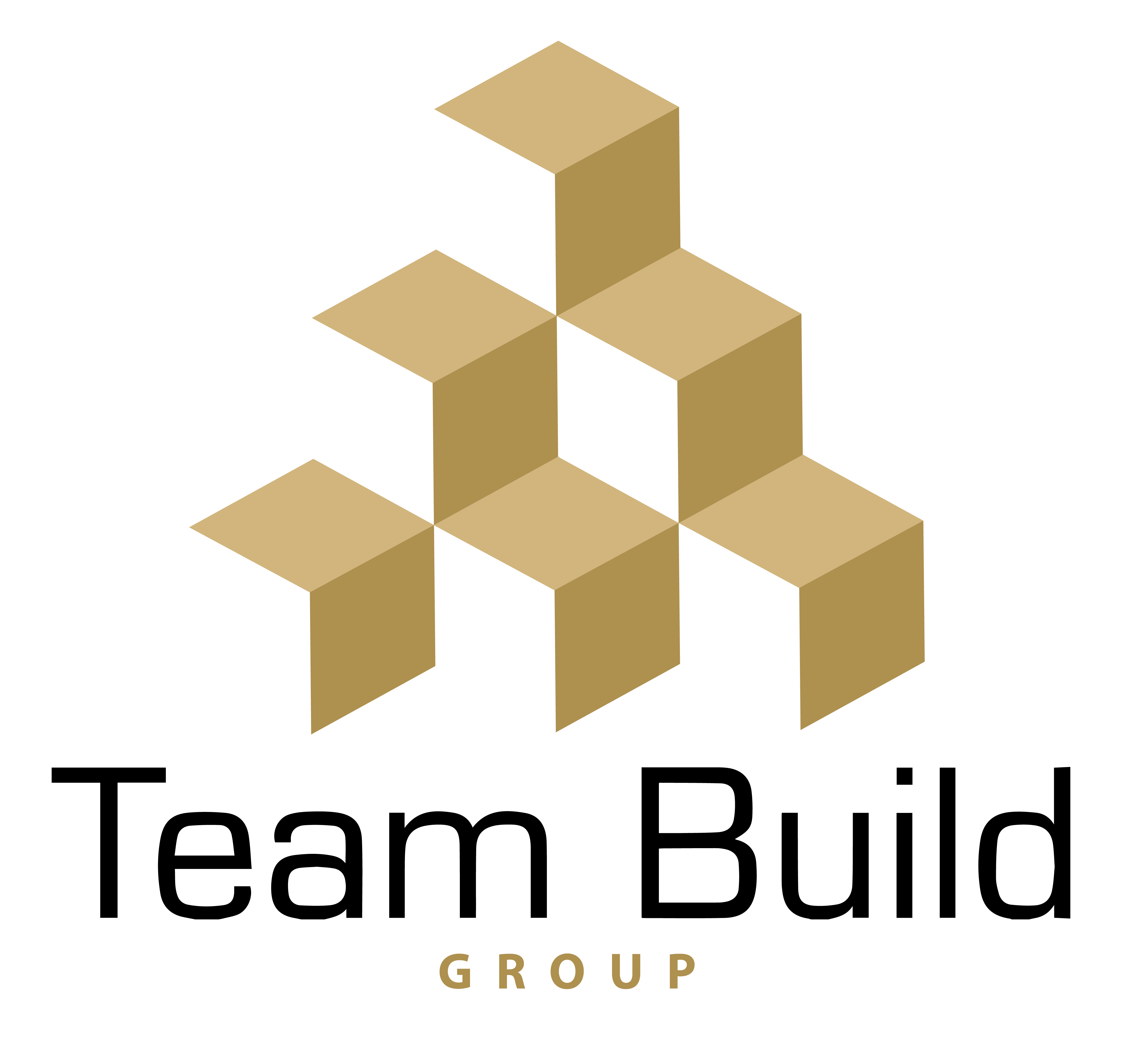 Team Build Group